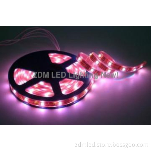 smd led strip